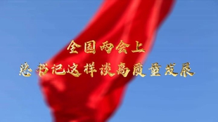 兩會上，總書記這樣談高質量發展