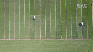 如何讓假劣化肥不再坑農害農？