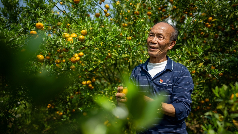 戰山斗山，一代又一代&ldquo;石漠愚公&rdquo;書寫傳奇
