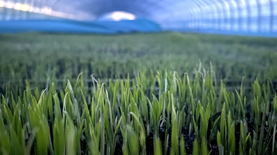 端牢&ldquo;中國飯碗&rdquo;，&ldquo;北大倉&rdquo;想這么干