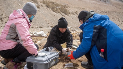 特寫：珠峰科考&ldquo;尋寶人&rdquo;