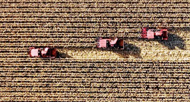 非凡十年｜吉林：加快推動全面振興、全方位振興