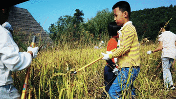 吉林：國(guó)慶游&ldquo;豐&rdquo;景