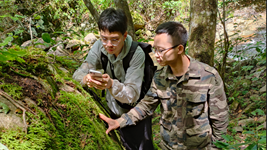 贛閩攜手&ldquo;逐&rdquo;綠守護武夷山國家公園