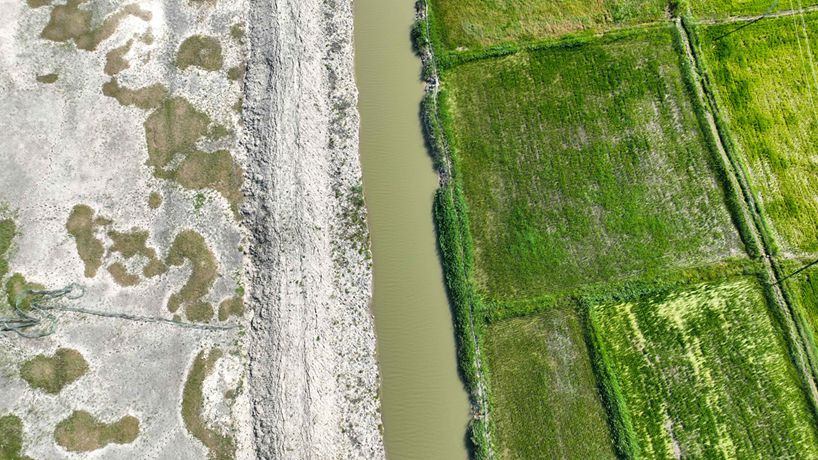 &ldquo;綠色治理&rdquo;使吉林46萬畝鹽堿地變良田