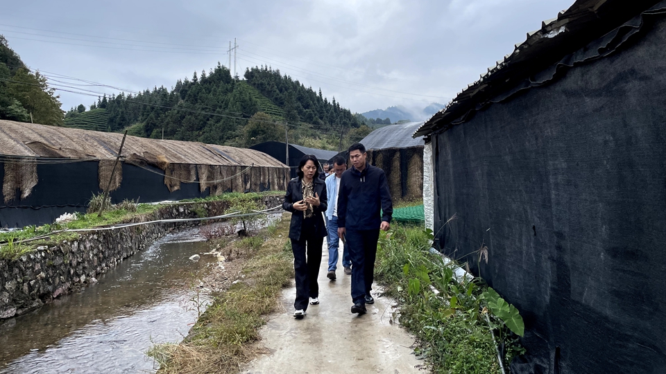 楊遠艷：到群眾中去、講群眾的話、想群眾的事