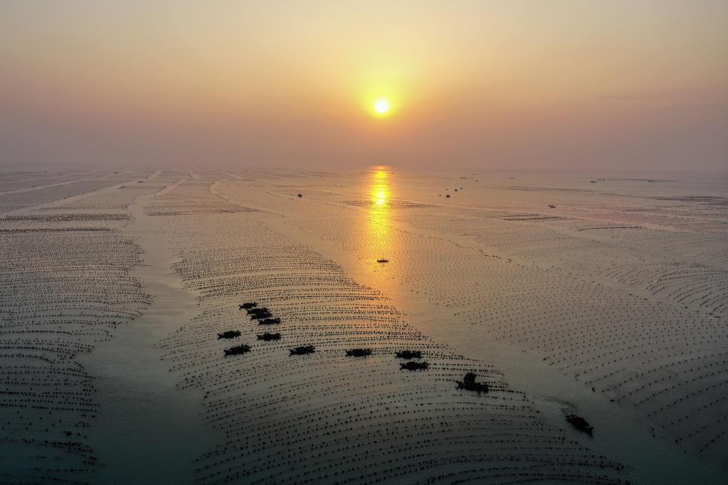 山東榮成：早春時節 &ldquo;耕海牧漁&rdquo;