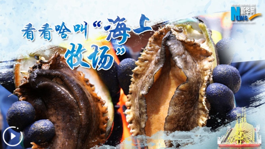 看看啥叫&ldquo;海上牧場&rdquo;