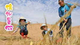 &ldquo;雙減&rdquo;后的第一個暑假，小朋友們是怎么度過的？