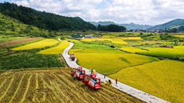 攻堅(jiān)克難再奮進(jìn)&mdash;&mdash;透視2021年中國經(jīng)濟(jì)答卷