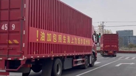 那只&ldquo;跳進&rdquo;愛心蔬菜包的手機咋樣啦？請聽刷屏&ldquo;奇遇&rdquo;后續&hellip;&hellip;