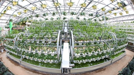 &ldquo;中國蔬菜之鄉&rdquo;律動種業&ldquo;中國芯&rdquo;