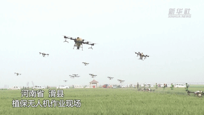無人機飛防&ldquo;蟲口奪糧&rdquo; 護航夏糧保豐收