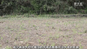 曾經被&ldquo;遺棄&rdquo;的它們 搬到新家啦！