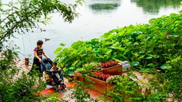 告別大拆大建，老城煥發(fā)新生&mdash;&mdash;北京老城正在發(fā)生的變遷