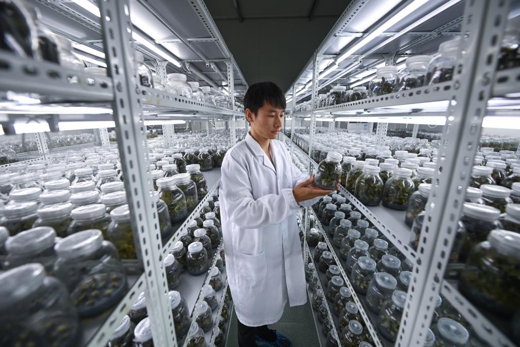 浙江臨安：&ldquo;農(nóng)創(chuàng)客&rdquo;助力農(nóng)業(yè)現(xiàn)代化