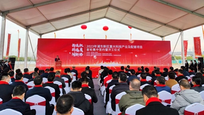 上海浦東：打好&ldquo;三張牌&rdquo; 奮力抓先機(jī)