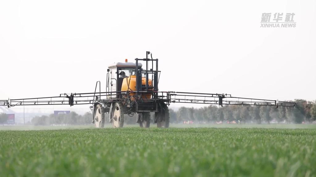 安徽阜陽：讓&ldquo;糧田&rdquo;變良田