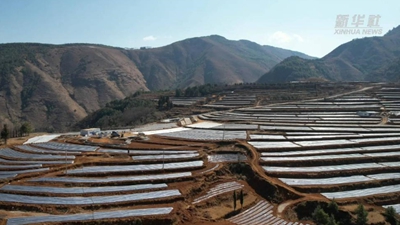 一個西南小鎮(zhèn)的&ldquo;高速&rdquo;轉(zhuǎn)身