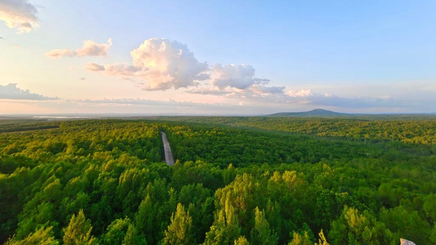 小興安嶺林海撐開&ldquo;致富傘&rdquo;