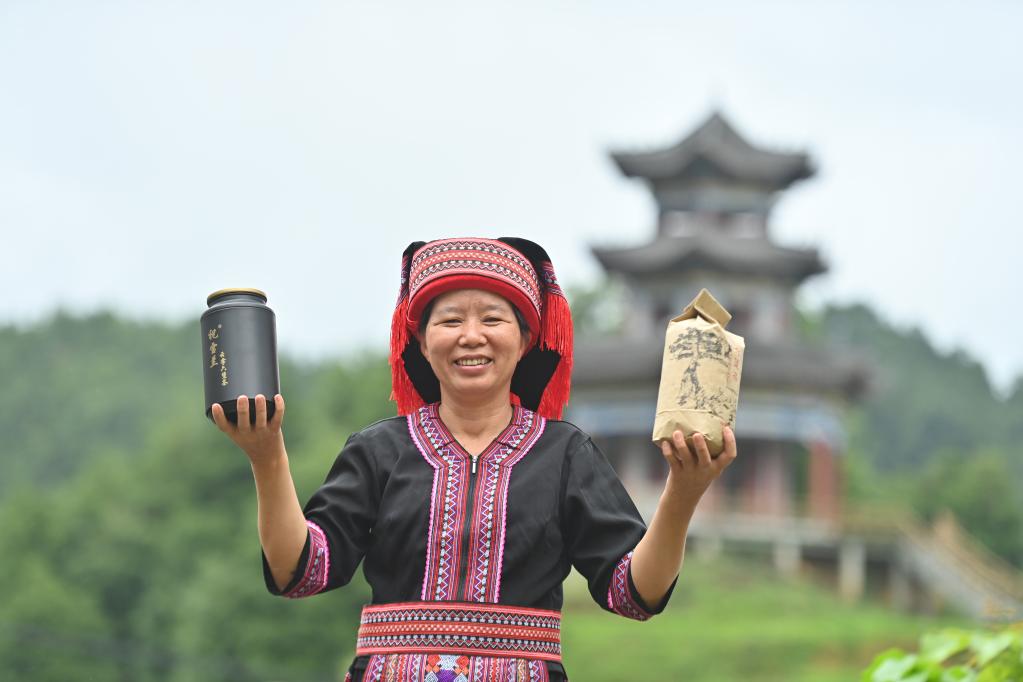 祝雪蘭：以茶為&ldquo;橋&rdquo;促增收