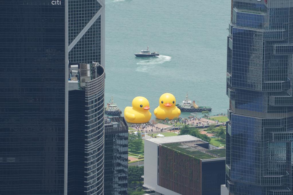 闊別十年 &ldquo;大黃鴨&rdquo;再度到港