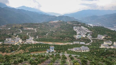 橙香富山鄉(xiāng)&mdash;&mdash;一個(gè)三峽村莊的綠色&ldquo;蝶變&rdquo;