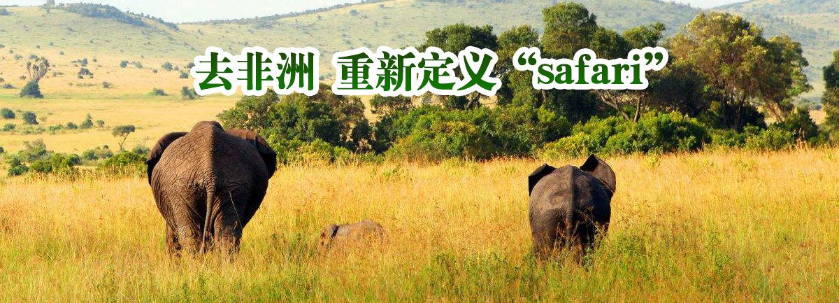 【新華微視評】去非洲 重新定義&ldquo;safari&rdquo;