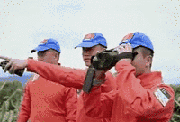 這可能是北移野生亞洲象今年最后一場&ldquo;直播&rdquo;