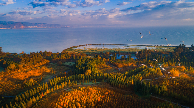 【遇見云南生物多樣性之美】&ldquo;春城&rdquo;萬物生