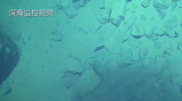 8919米！我國科學家首次探底雅浦海溝 成功采集深淵樣本