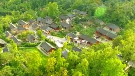 貴州盤州：&ldquo;世界古銀杏之鄉(xiāng)&rdquo;猶如童話世界