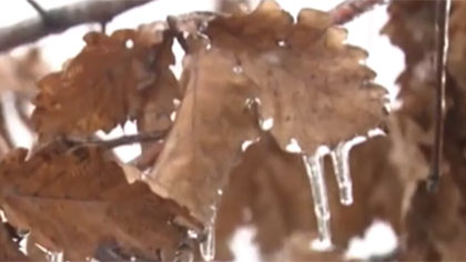 黑龍江：凍雨是如何產生的