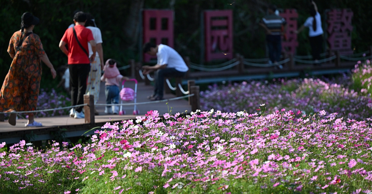 秀我中国丨博鳌南强村：花海绽放迎盛会
