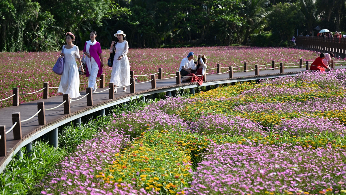 博鳌花开迎客来
