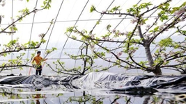 逐夢(mèng)新征程 奮進(jìn)向未來(lái)&mdash;&mdash;2022新開(kāi)局看&ldquo;筑夢(mèng)中國(guó)&rdquo;新跨越