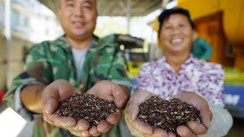 星火再燎原&mdash;&mdash;來自我國首個脫貧摘帽縣井岡山的回訪