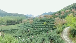 萬象&ldquo;耕&rdquo;新！碼住人間四月天