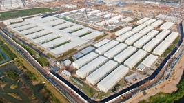 確定且溫暖的力量&mdash;&mdash;為了750萬香港同胞