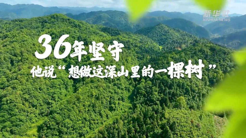 36年堅守！他說&ldquo;想做這深山里的一棵樹&rdquo;