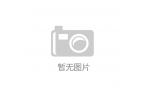 专利提升LCD投影机听觉效果引关注pg电